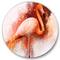 Designart - Portrait of Pink Flamingo II - Farmhouse Metal Circle Wall Art